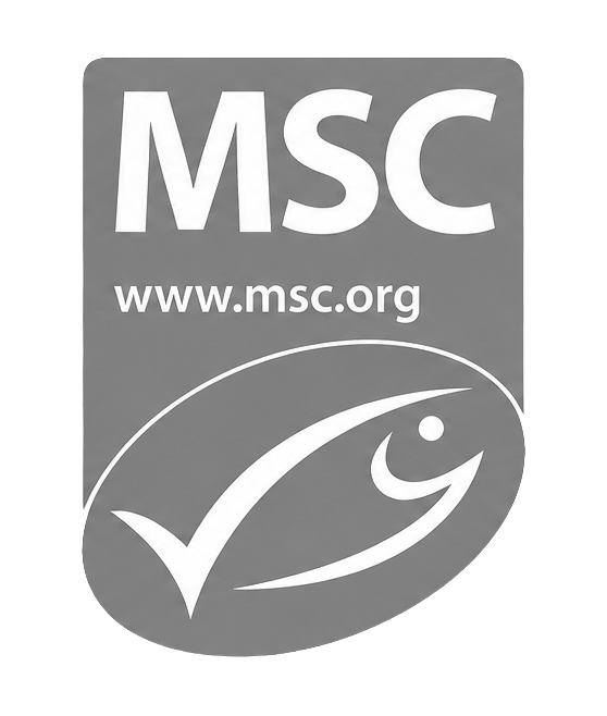 MSC — Amplify Photo client